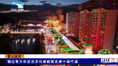 夏日经济 | 鄂台青少年武当文化体验营走进十堰竹溪