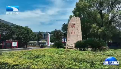 锲而不舍落实中央八项规定精神丨鄂州峒山村：创新“党员联户”机制 走出发展新路