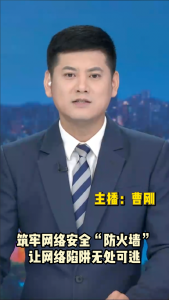 长江评论：筑牢网络安全“防火墙” 让网络陷阱无处可逃