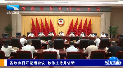 省政协召开党组会议 孙伟主持并讲话