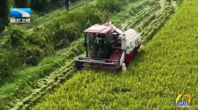 “院地”合作 53项科技新成果种出荆楚新“丰”景