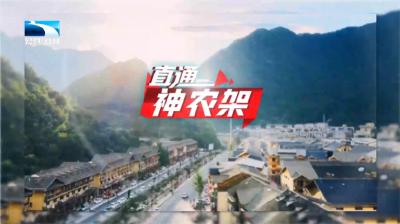直通神农架 | 神农架：“心电一张网”铺设到村 打通服务群众最后“一公里”