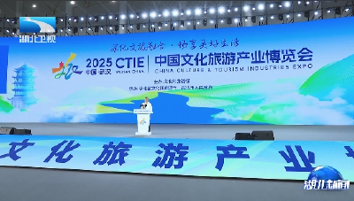 2025中国文化旅游产业博览会在汉开幕 李殿勋宣布开幕孙伟出席