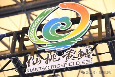 有一种盛会，叫做“鳝开新局”！