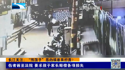 长江关注：“熊孩子”惹的祸谁来担责？