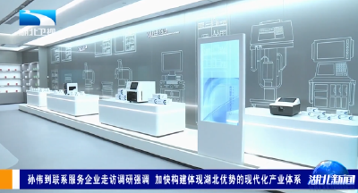  孙伟到联系服务企业走访调研强调 加快构建体现湖北优势的现代化产业体系
