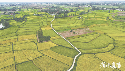 新高地 正崛起——襄阳锚定国家农高区目标全力冲刺