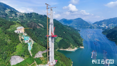 在鄂央企承建！天麻高速公路马鹿塘特大桥首对斜拉索顺利安装