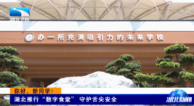 你好，新同学！ | 湖北推行“数字食堂” 守护舌尖安全