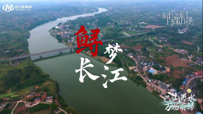 四川 | 《鲟梦长江》