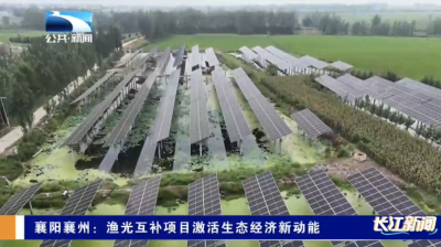 襄阳襄州：渔光互补项目激活生态经济新动能