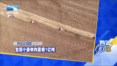 全国小麦收购量超1亿吨
