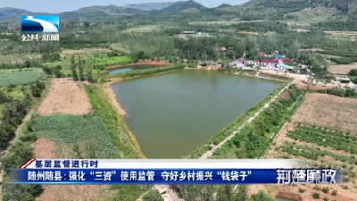 基层监督进行时丨随州随县：强化“三资”使用监管 守好乡村振兴“钱袋子”