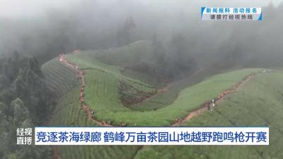 竞逐茶海绿廊 鹤峰万亩茶园山地越野跑鸣枪开赛