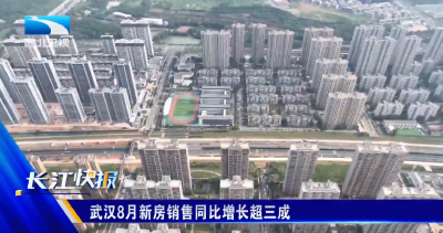 武汉8月新房销售同比增长超三成