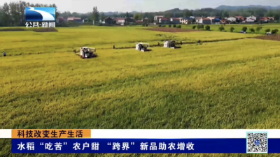 科技改变生产生活｜水稻“吃苦”农户甜 “跨界”新品助农增收