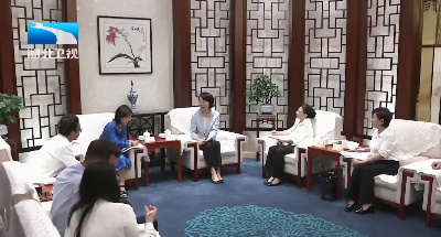 陈平会见西班牙双丽集团董事长戚丽玲一行
