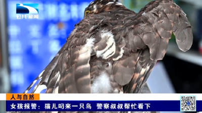女孩报警：猫儿叼来一只鸟 警察叔叔帮忙看下