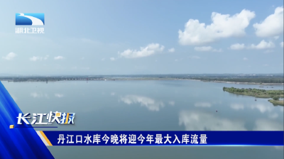 丹江口水库今晚将迎今年最大入库流量