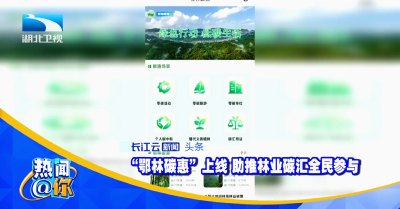 “鄂林碳惠”上线 助推林业碳汇全民参与