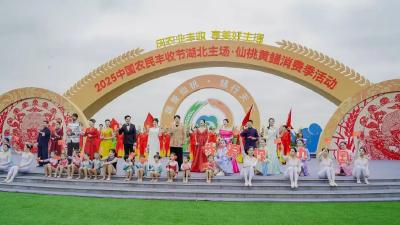 2025中国农民丰收节湖北主场·仙桃黄鳝消费季活动在仙桃举行