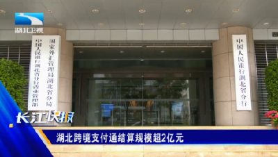 湖北跨境支付通结算规模超2亿元
