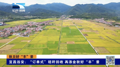 宜昌远安：“订单式”秸秆回收 再添金秋好“丰”景