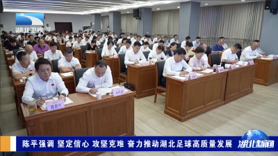 陈平强调 坚定信心 攻坚克难 奋力推动湖北足球高质量发展