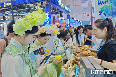 从太极宗师战 AI 到 “云巅金顶” 瞰花车！十堰在2025文博会玩出了新花样新高度