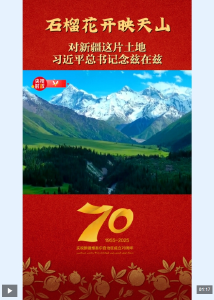 独家视频丨石榴花开映天山——对新疆这片土地 习近平总书记念兹在兹