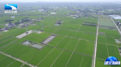 全省高标准农田专项整治暨巩固拓展脱贫攻坚成果现场会召开 诸葛宇杰出席并讲话