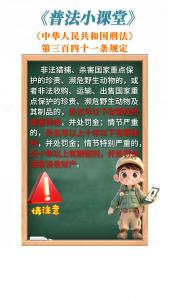 守护“蓝天精灵”：买鸟≠爱鸟 莫让交易触红线