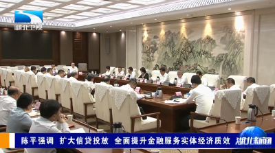 陈平强调 扩大信贷投放 全面提升金融服务实体经济质效