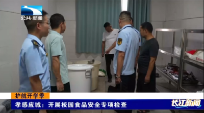 孝感应城：开展校园食品安全专项检查