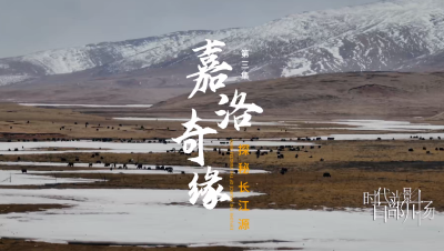 四川 | 《探秘长江源之嘉洛奇缘》