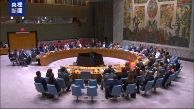 联大多国呼吁落实“两国方案” 美国却在“违抗世界”