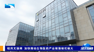程用文强调 加快推动生物医药产业做强做优做大