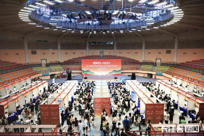 单人最高资助150万元 湖北携1500个优质岗位首次走进大湾区招硕引博