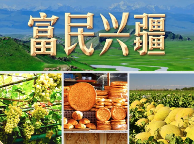 习言道｜习近平为何感慨“不辞长作新疆人”