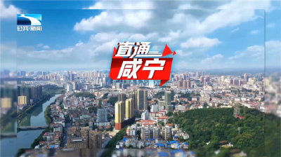 直通咸宁 | 咸宁离岸科创园全力创全省标杆