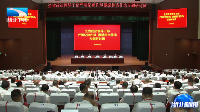 王林虎强调 严明纪律作风 强化履职担当 为加快建成支点贡献政法力量