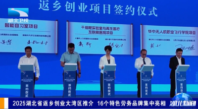 2025湖北省返乡创业大湾区推介 16个特色劳务品牌集中亮相