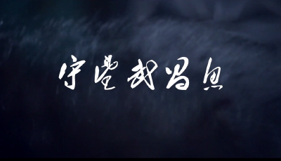 《守望武昌鱼》