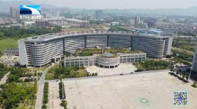 筑巢引凤 打造楚商回乡的“强磁场”