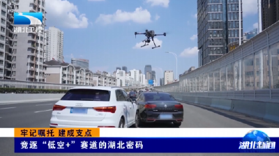 牢记嘱托 建成支点 | 竞逐“低空+”赛道的湖北密码