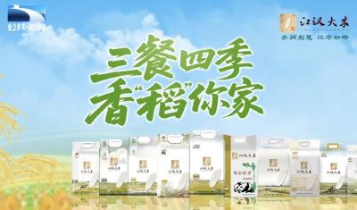 三餐四季 香“稻”你家｜90后超级宝爸的营养饭团出品记