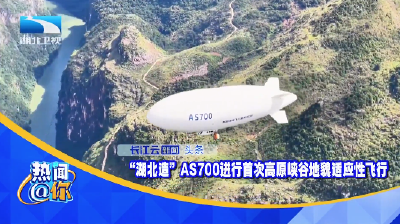 “湖北造”AS700进行首次高原峡谷地貌适应性飞行