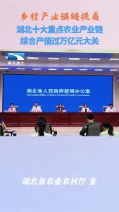 湖北十大重点农业产业链综合产值过万亿元