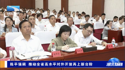 陈平强调 推动全省高水平对外开放再上新台阶