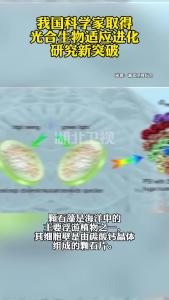 我国科学家取得光合生物适应进化研究新突破
